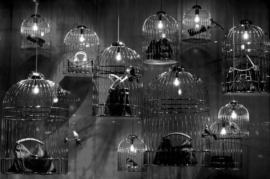 KACPER HAMILTON Bird Cages